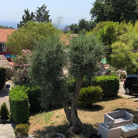 Villa Timana Nizza